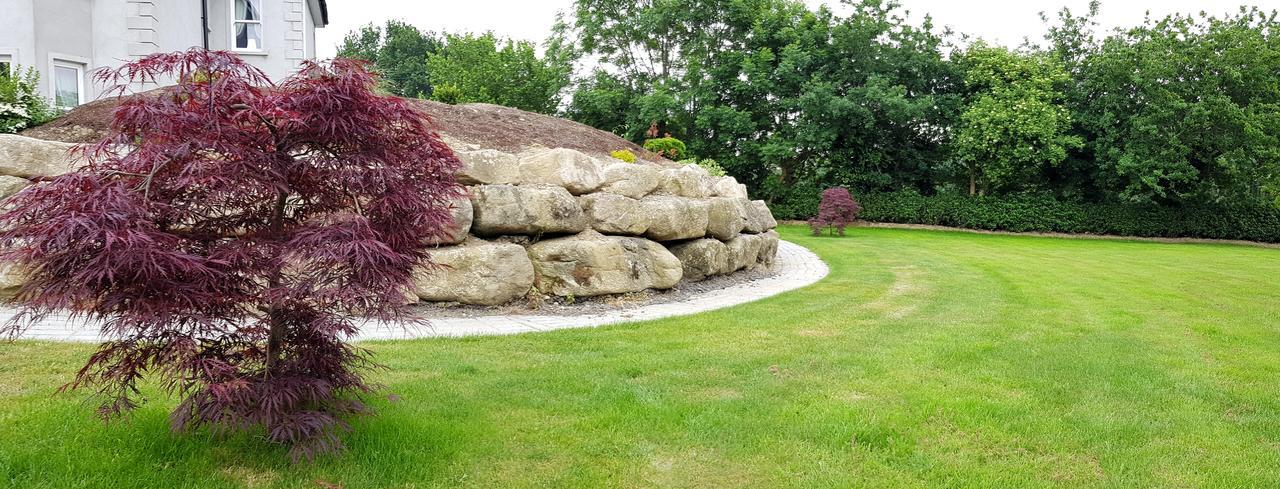 Blackstoops Lodge Enniscorthy Exteriér fotografie